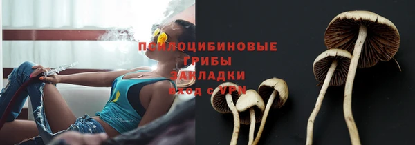 дмт Сафоново