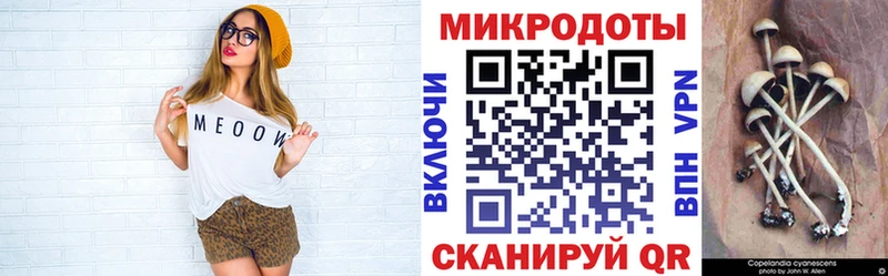 купить наркотики цена Тимашёвск Псилоцибиновые грибы Psilocybine cubensis